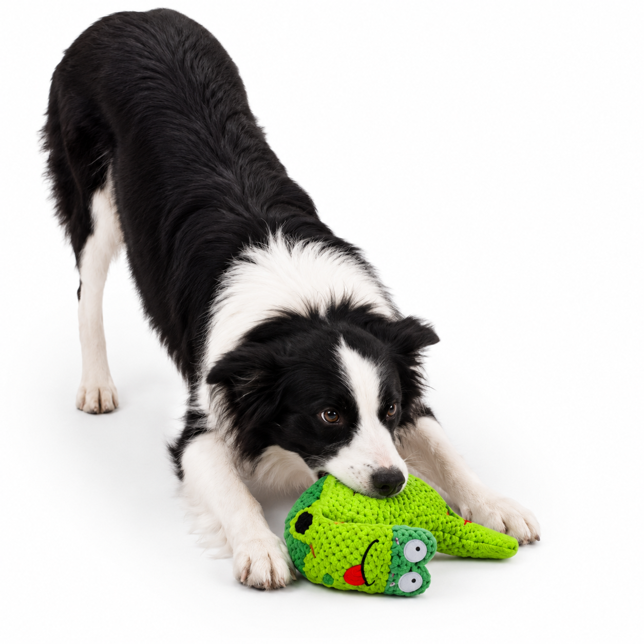 Green Plush Snail Dog Toy